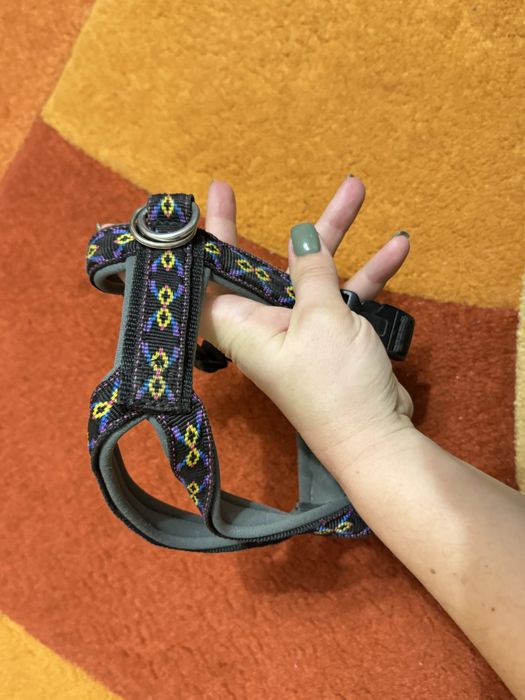 Шлейка для собаки