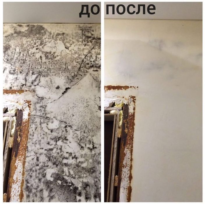 Професійне знищення тарганів клопів блох, гризунів, плісняви,Гарантія!