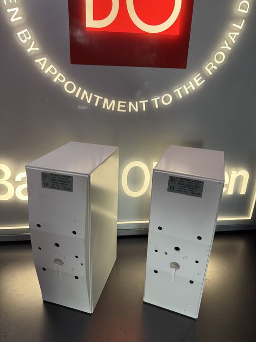 Bang Olufsen beovox CX100