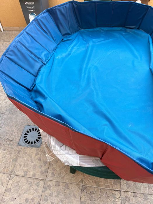piscina para caães