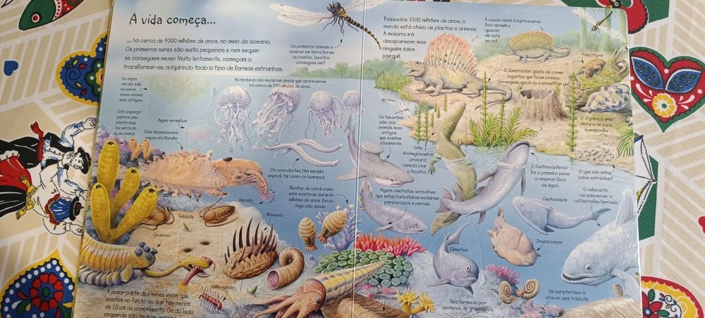 Porto Editora's Educational Book 'Peek into the World of Dinosaurs'64297480836481121