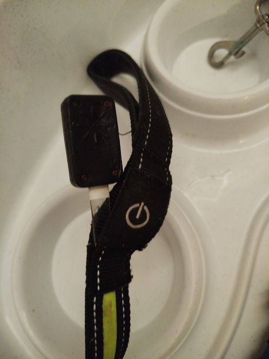 Conjunto trela retrátil bandeja, brinquedo