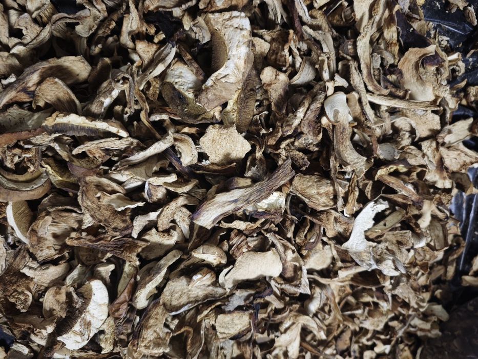 Сушені гриби     .