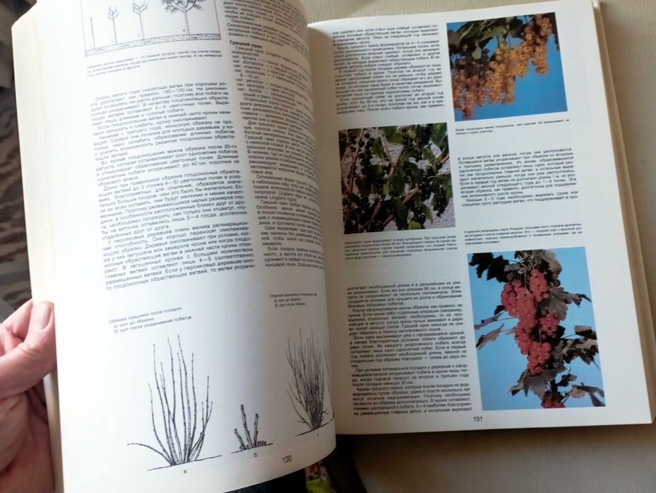 Энциклопедия садовода. Честмир Бем. Прага 1988г