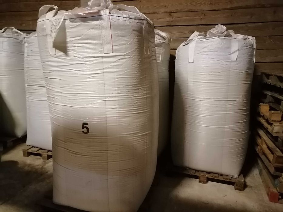 ŻycicaTrwała(bokser),Rajgras Angielski,trawa na trawnik, nasiona trawy