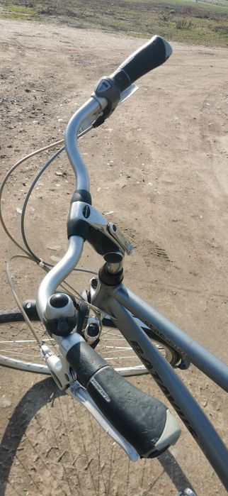 Rower Batavus Stacatto 29 cali