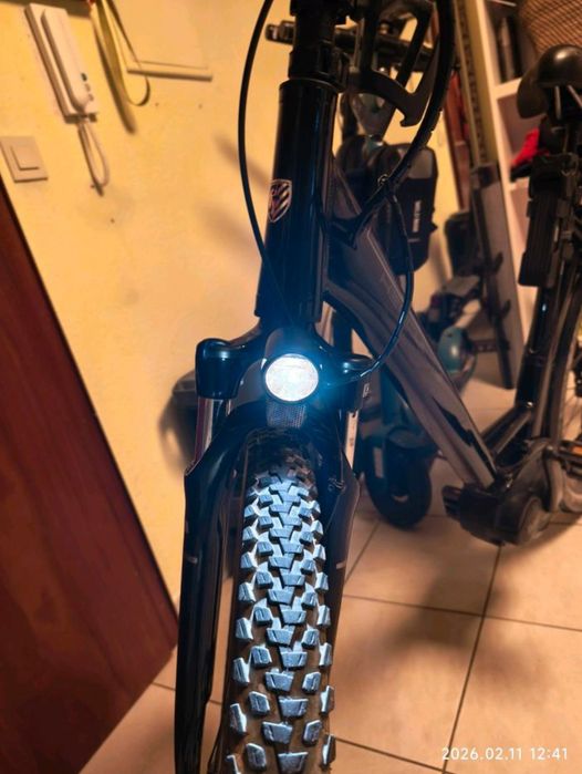 Bicicleta elétrica