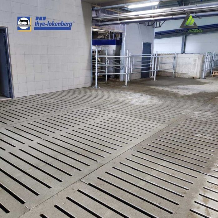 Ruszta betonowe dla bydła i trzody