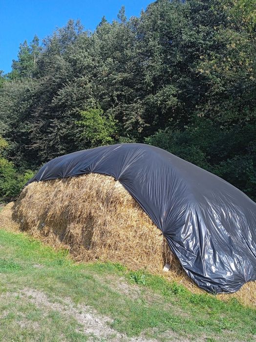 Ячна солома цьогорічна