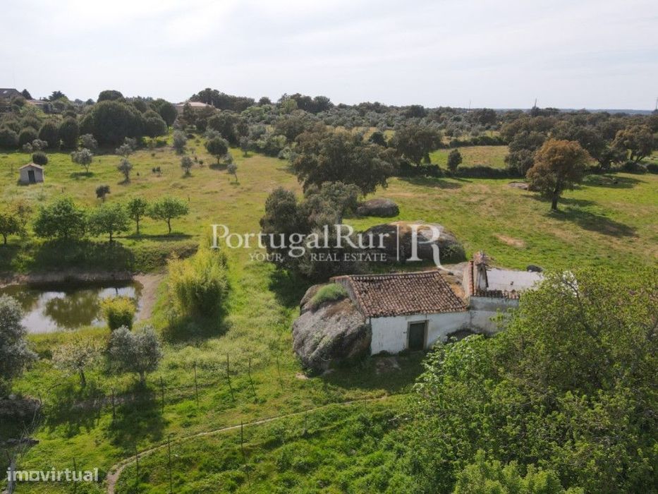 Quinta com cerca de 49.350 m2 — Alpalhão, Portalegre