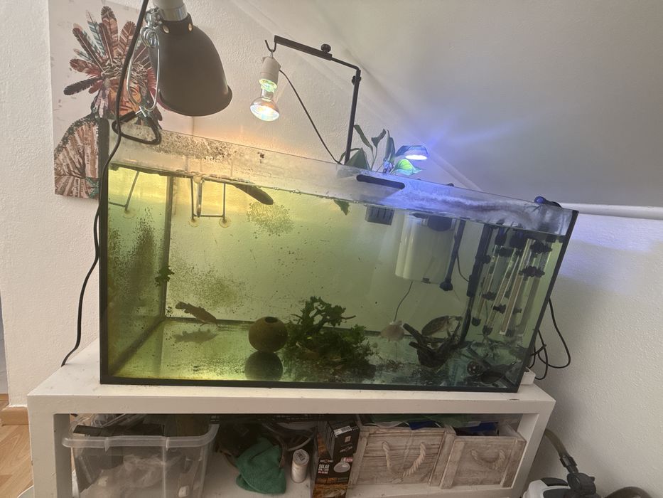 Aquario 200 litros
