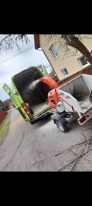 Wycinka drzew, usługi rębakiem, Frezowanie pnii