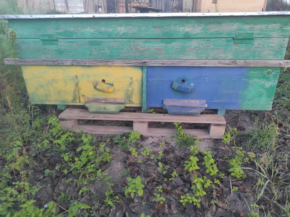 Продам вулик на 2 сім’ї