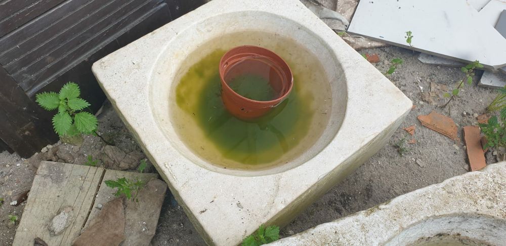 Comedouros / comedor de cimento para animais