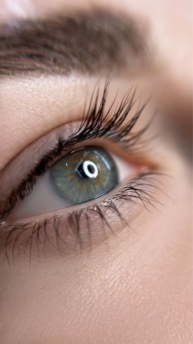 КУРС ЛАМІНУВАННЯ БРІВ ТА ВІЙ 6 годин / 1 день / 3000 грн