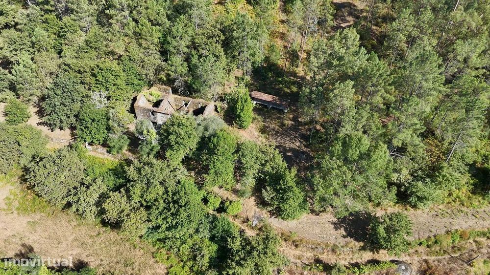Quinta com 2 Hectares e Casa em Pedra para Recuperar em Gomide, Vila V