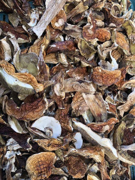 Сухий білий гриб, сушені гриби