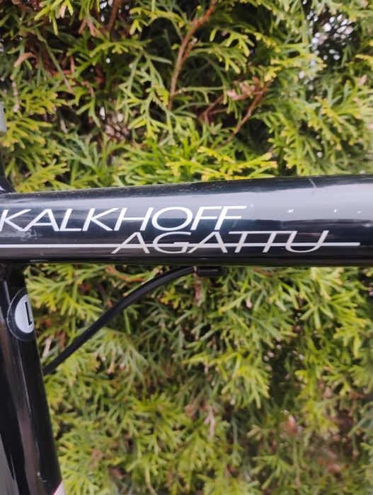 Kalkhoff rower po serwisie.
