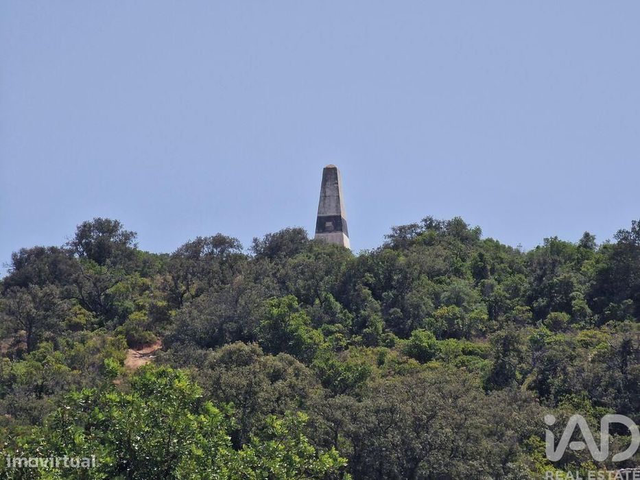 Terreno Agrícola em Santa Bárbara de Nexe
