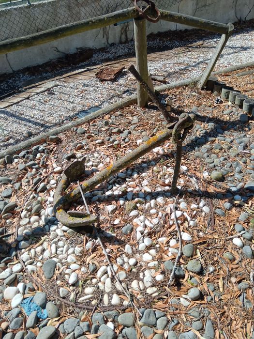 Antiguidades e sucata