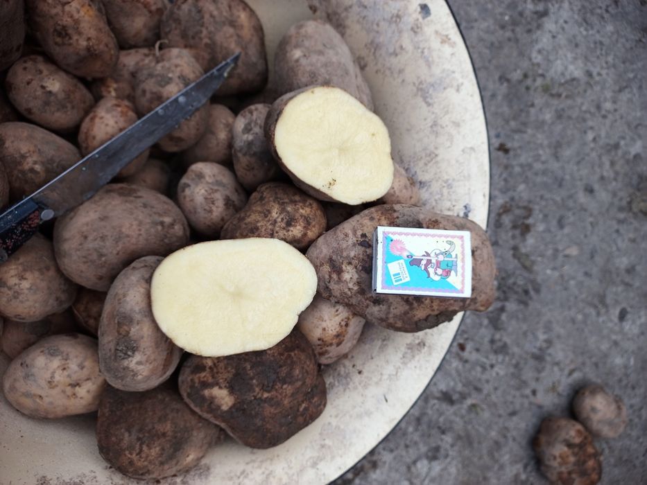 Продам картоплю. Велика