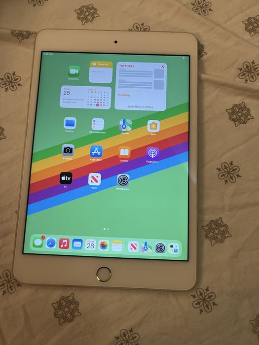 IPad Mini 5 256 Gb Silver LTE + WiFi