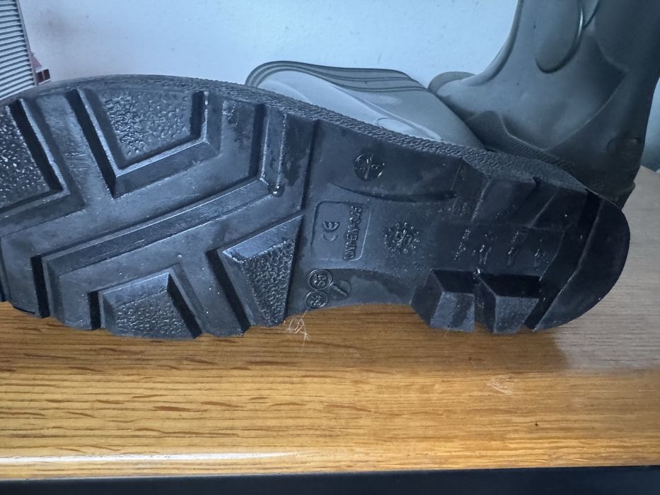 Galhochas trabalho 42