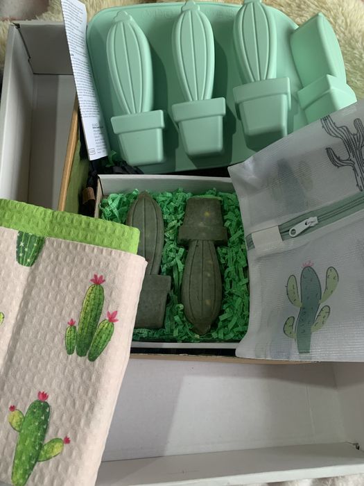 подарок маме свекрови подруге  Клубника кактус box