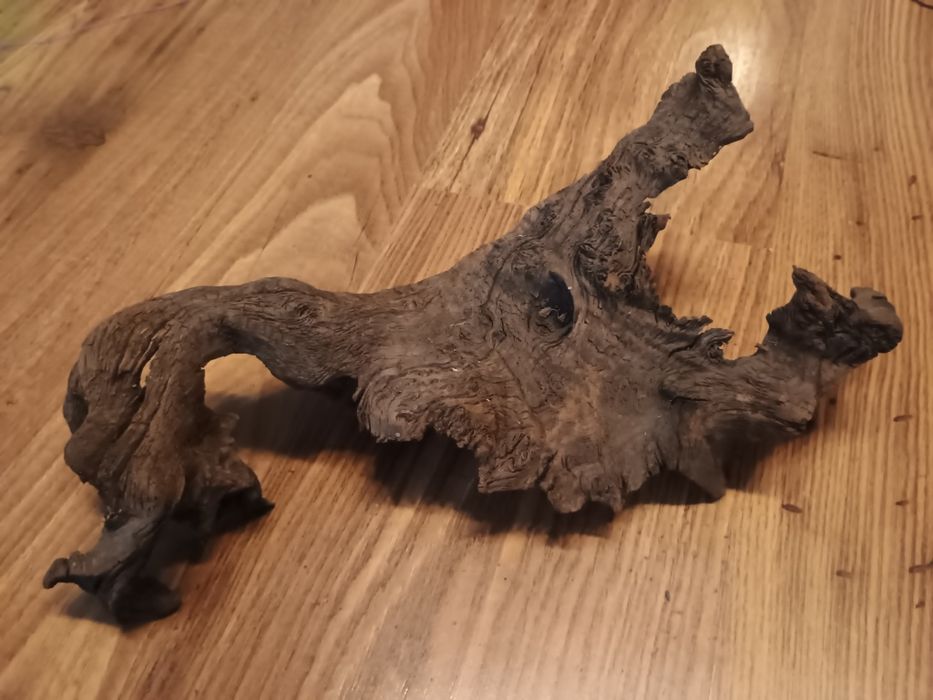 Korzenie do akwarium