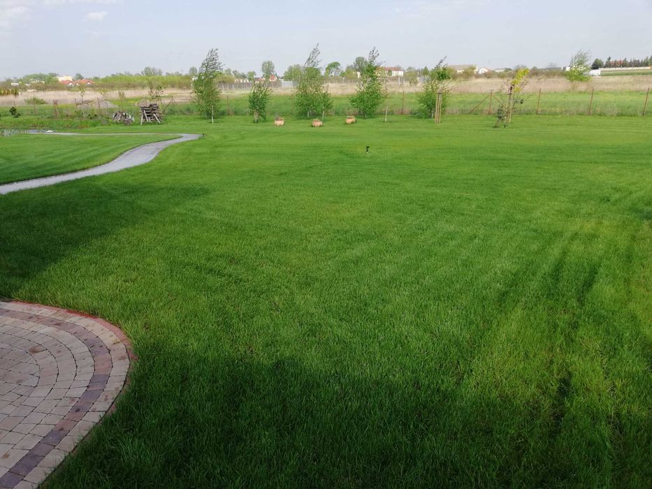 zakładanie trawników