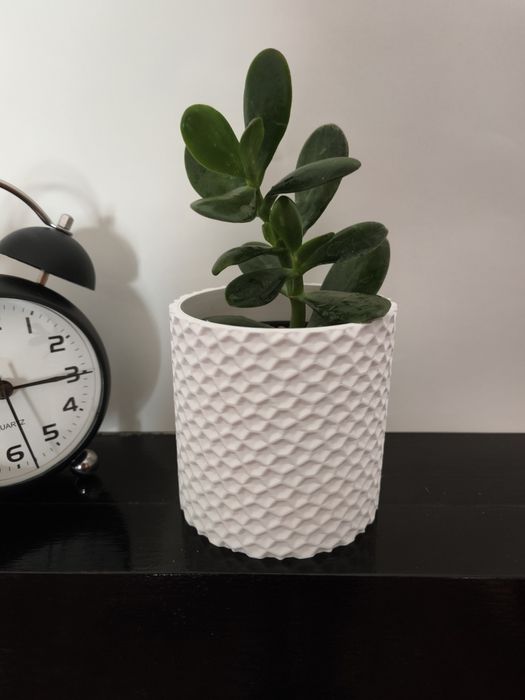Vaso Branco com Textura Geométrica