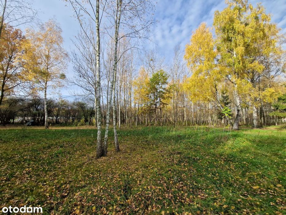 Działki bud. z drzewami od 2154 m² Błonie Cholewy / prąd / woda / gaz - Więcej