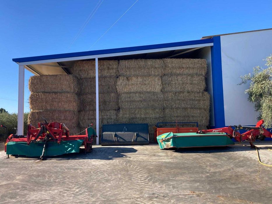 Fardos de Azevem 80/90