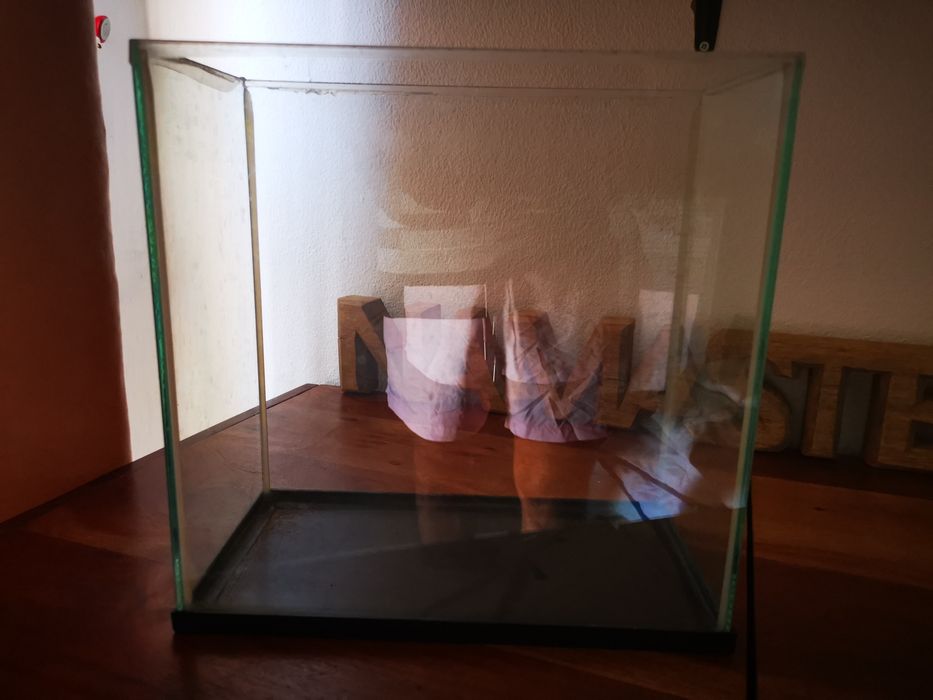 Aquário para desocupar