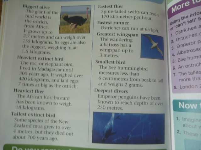 Сomprehension pupil book 2. 2011