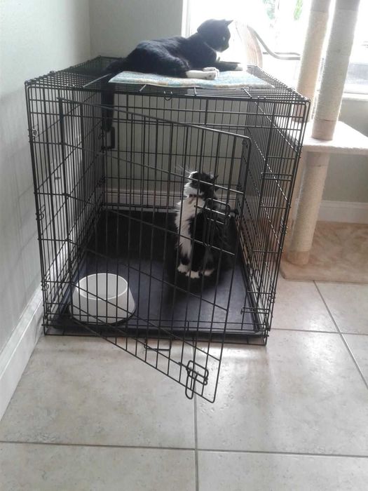 Переноска Польша клітка клетка для собак кошек x/s, S, M, L, XL, XXL