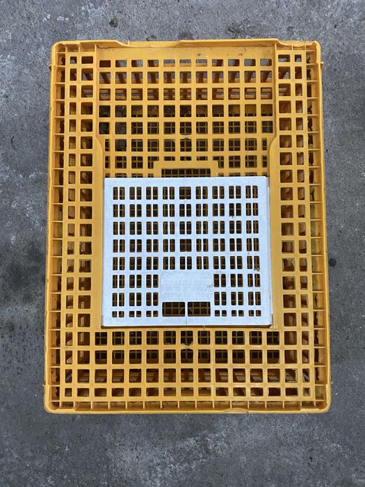 Jaula gaiola transporte aves