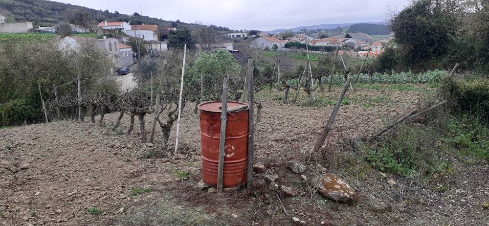 Quinta pequena- Sobral de Monte Agraço