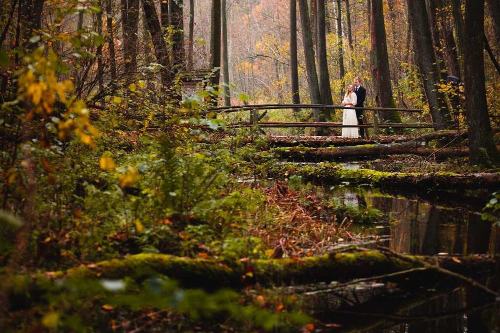 Fotograf ślubny, chrzest, komunia, osiemnastka, sesja, urodziny