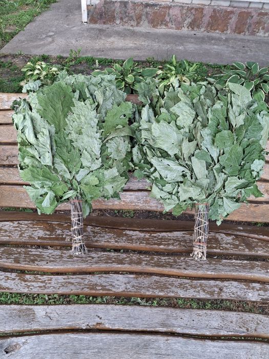 Банні віники для сауни березові віники  дубові віники травяні віники