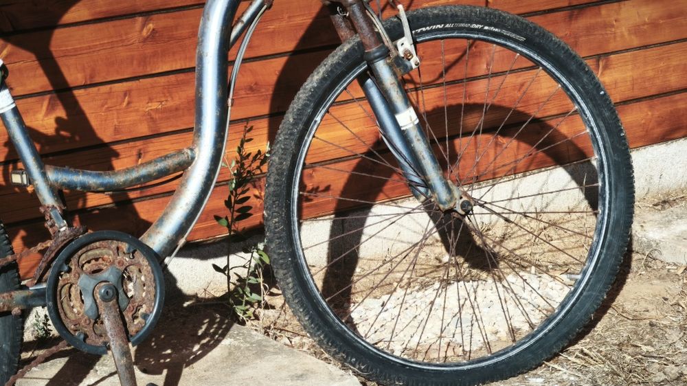 Bicicleta beach bike