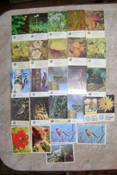 Коллекция календариков 263 шт.