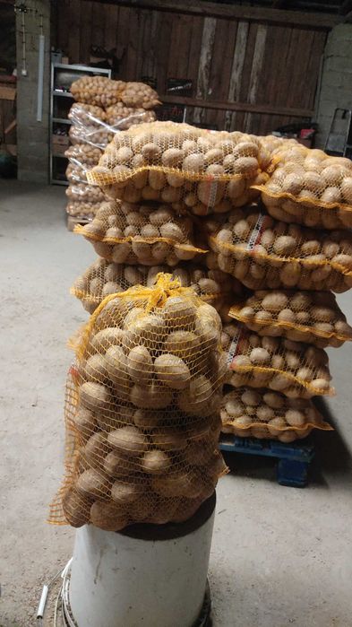 Ziemniaki jadalne duże [66gr/kg] [10zł/worek]