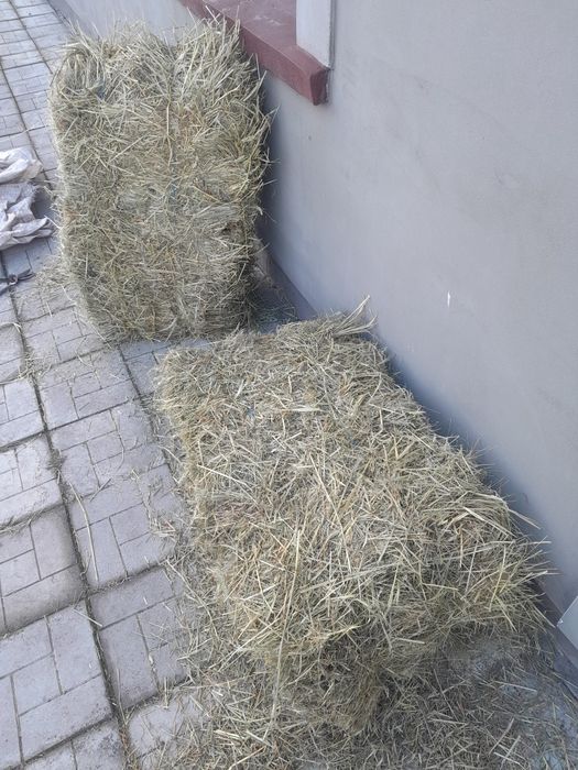 СВІЖАК цього року сіно в тюках та в мішках. Трава суха