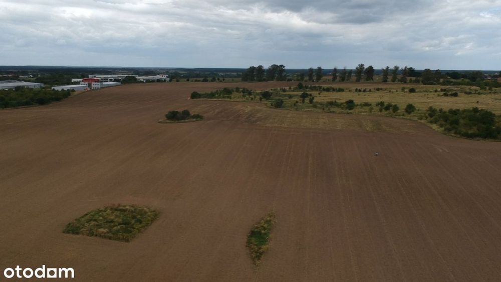 Wydane WZ (hale 3300 m2) + Strefa Gospodarcza w Planie Ogólnym!