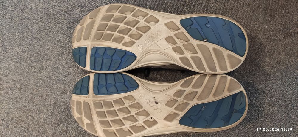 Ecco terracruise lt