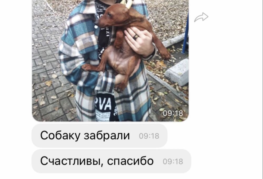 Детки сладкие  конфетки)