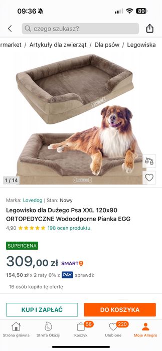 Spanko legowsko Lovedog XXL