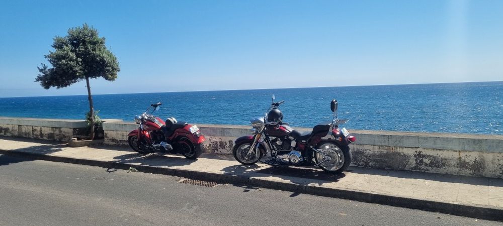 Harley davidson fat boy FLSTF classic custom