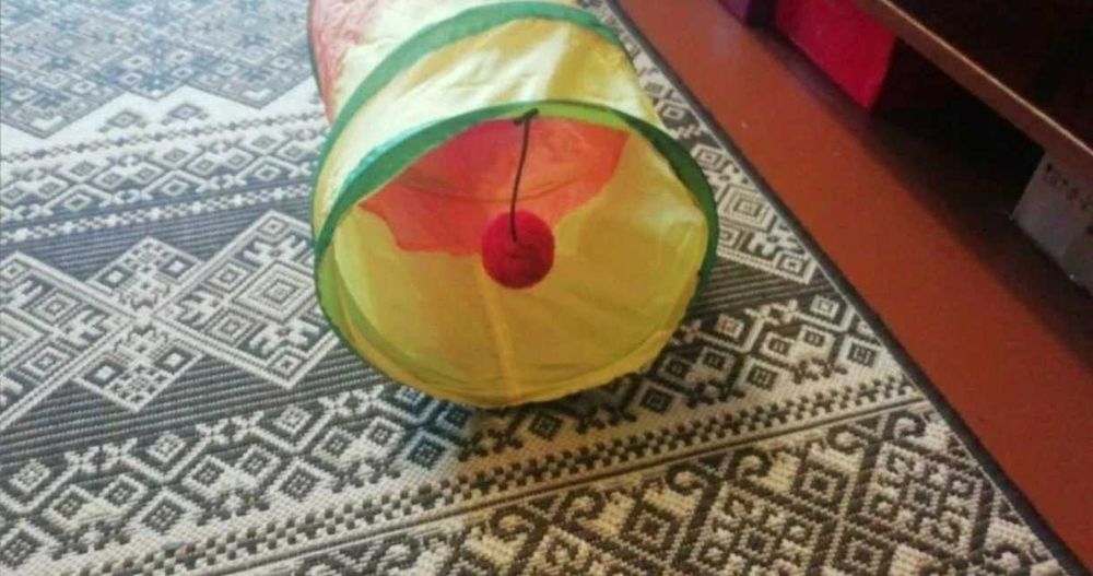 Тоннель-игрушка для животных